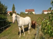 Achat vente maison de village / ville Montchanin