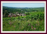 Achat vente Santenay