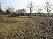 Immobilier Saint Philibert