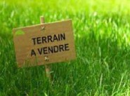 Terrain Couches