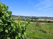 Terrain Nuits Saint Georges
