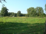 Terrain Tournus